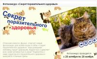 Акция ветпрепаратов Скифф- Фотоконкурс «Секрет поразительного здоровья»