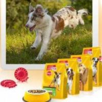 Акции от PEDIGREE- «Поздравь любимых с праздником!»