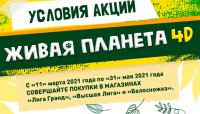 Лига Гранд , Высшая лига , Белоснежка: Акция Живая планета 4D.